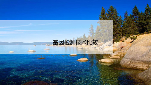 基因检测技术比较