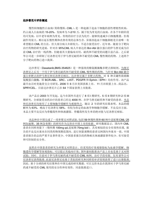 达沙替尼片评价概述