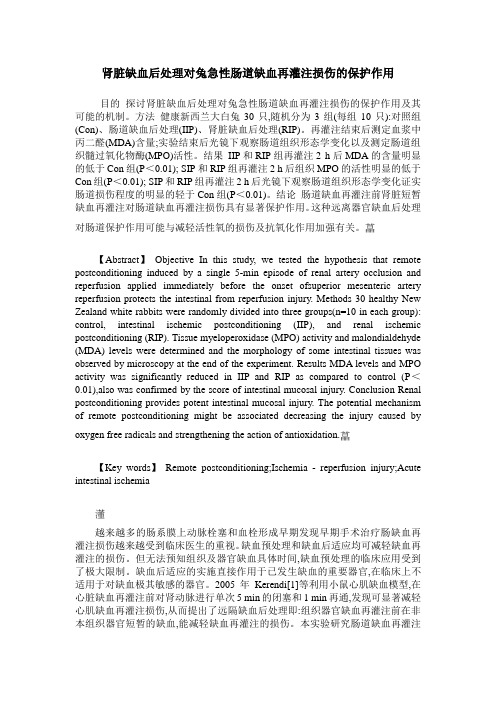 肾脏缺血后处理对兔急性肠道缺血再灌注损伤的保护作用