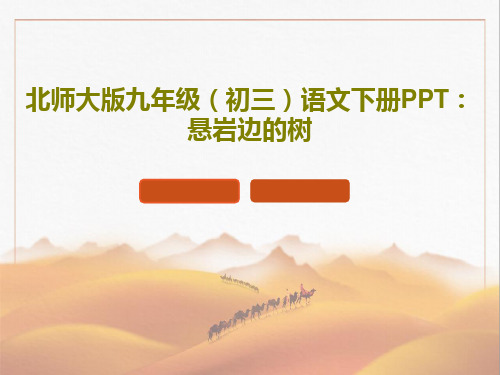 北师大版九年级(初三)语文下册PPT：悬岩边的树24页PPT