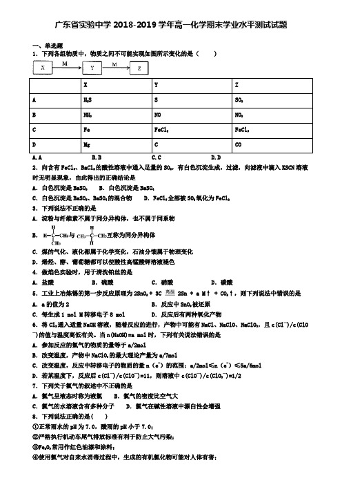 广东省实验中学2018-2019学年高一化学期末学业水平测试试题