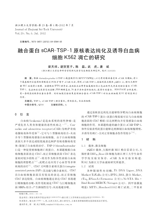 融合蛋白sCARTSP1原核表达纯化及诱导白血病细胞K562凋亡的研究