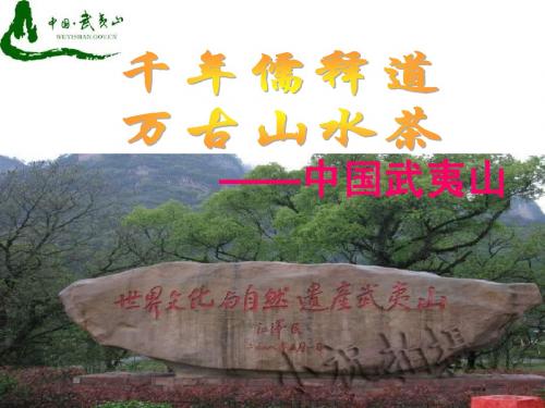 魅力武夷山(精品PPT)