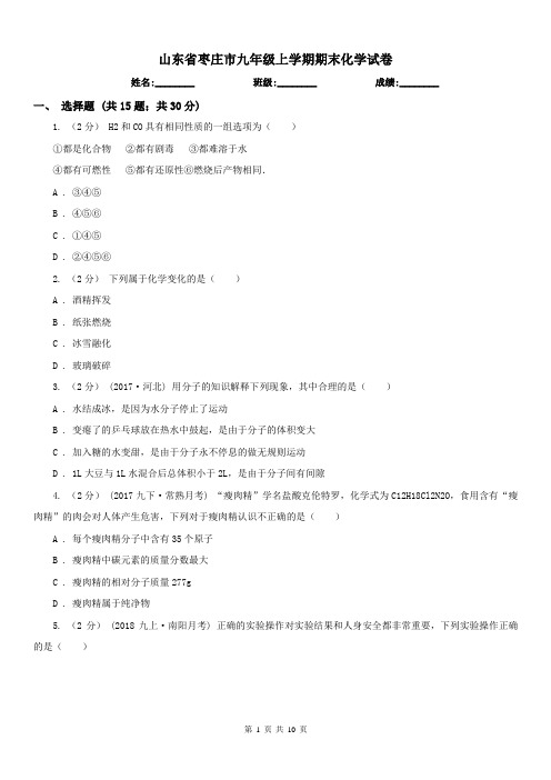 山东省枣庄市九年级上学期期末化学试卷