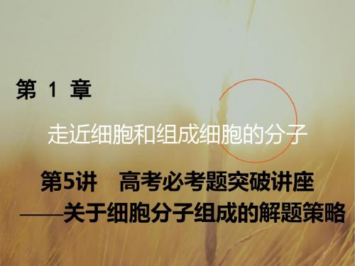 2018年高考生物一轮复习课件：第一章 走近细胞和组成细胞的分子 第5讲 精品