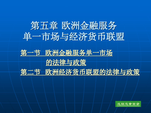 第五章 欧洲金融服务单一市场与经济货币联盟