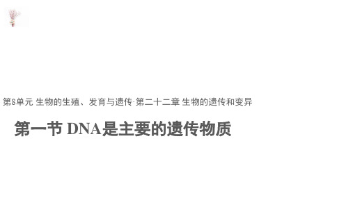 八年级下册生物课件-8.22.1《DNA是主要的遗传物质》课件 苏教版