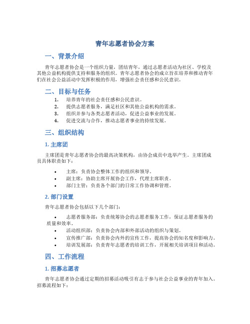 青年志愿者协会方案