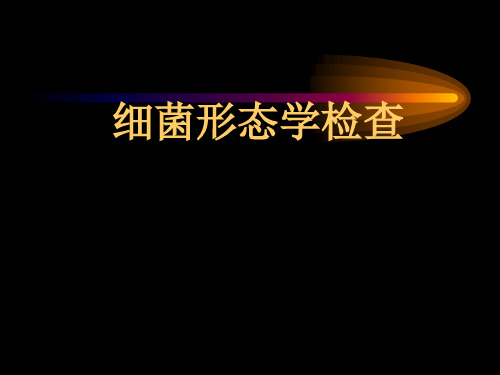 微生物学检验细菌形态学检查法