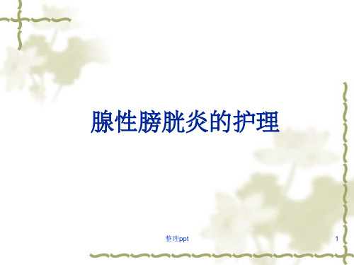 腺性膀胱炎的护理