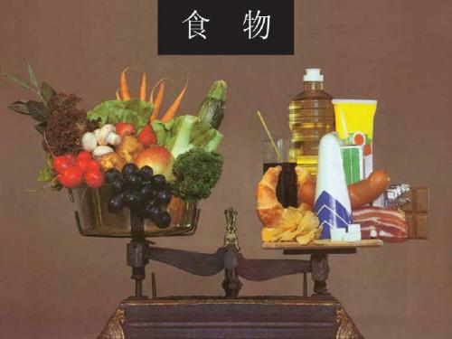 3.4生的食物和熟食物