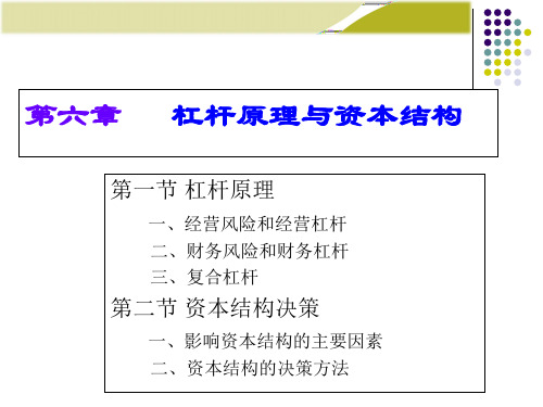 06杠杆原理与资本结构