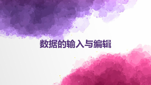 数据的输入与编辑