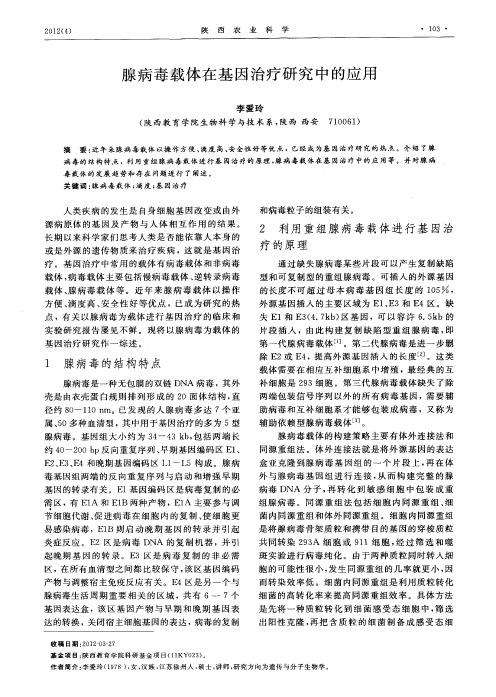 腺病毒载体在基因治疗研究中的应用