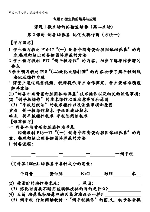 人教版生物选修一同步学案 专题二课题1 微生物的实验室培养(第2课时) 