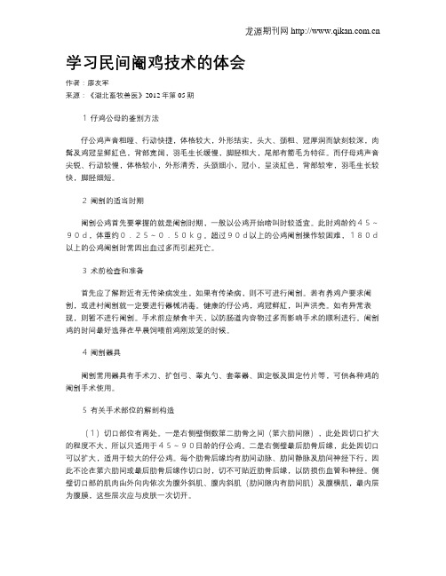 学习民间阉鸡技术的体会
