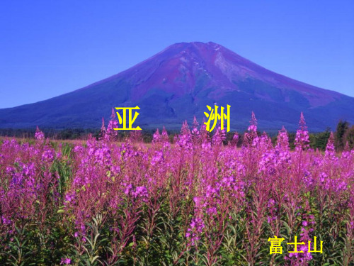 第六章《认识大洲》复习课件 (湘教版七年级下册)(共43张PPT)