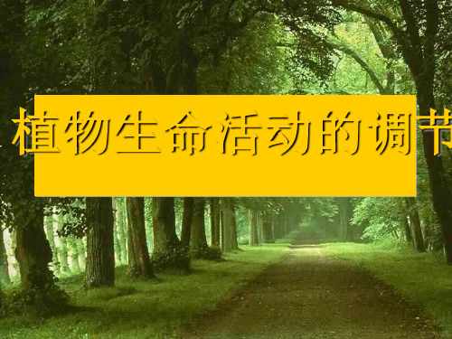 八年级上《植物生命活动的调节》PPT公开课下载浙教版