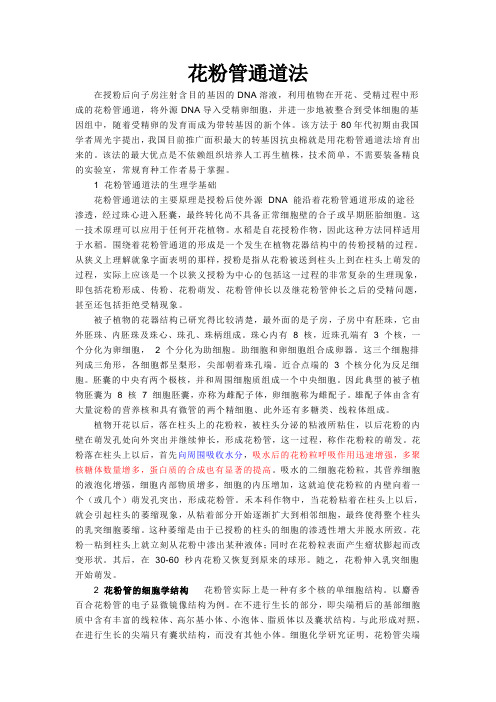 基因工程----花粉管通道法原理