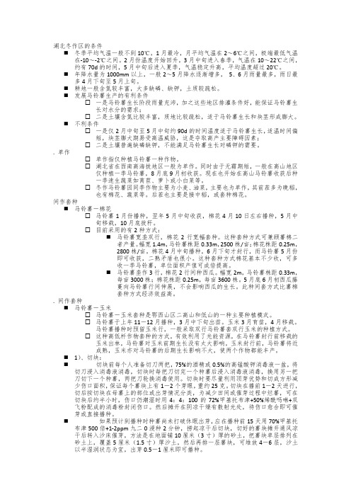 马铃薯