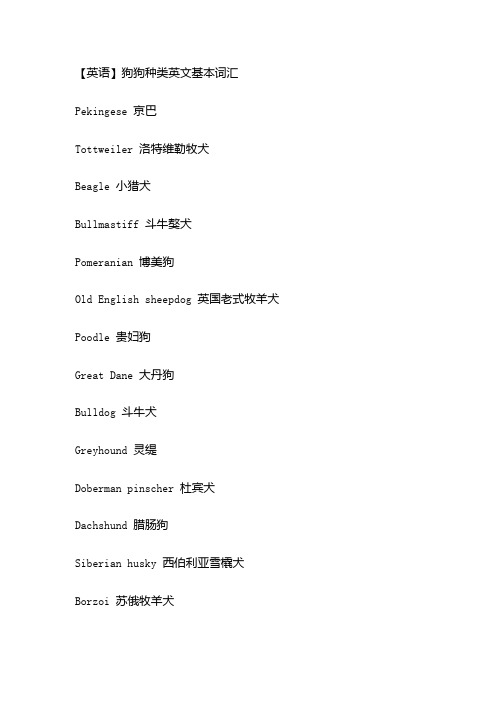 【英语】狗狗种类英文基本词汇