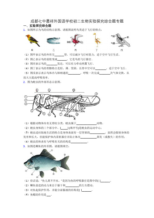 成都七中嘉祥外国语学校初二生物实验探究综合题专题