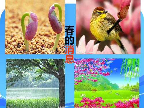 《春的消息》_人教版二年级下册