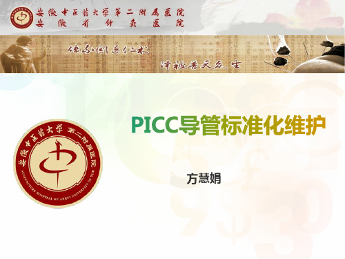 PICC标准化维护