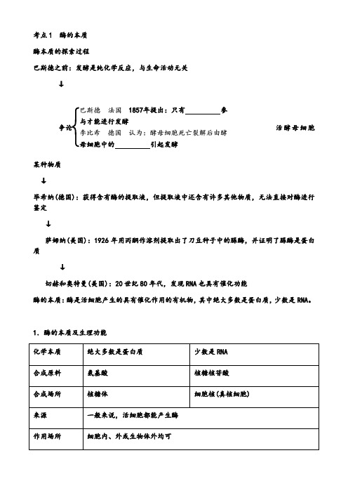 酶和ATP知识点