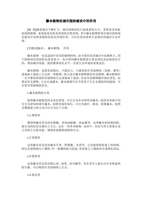 藤本植物在城市园林建设中的作用