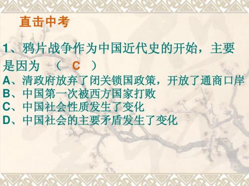 2001年中考历史总复习资料