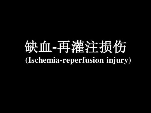 第十三章  缺血-再灌注损伤