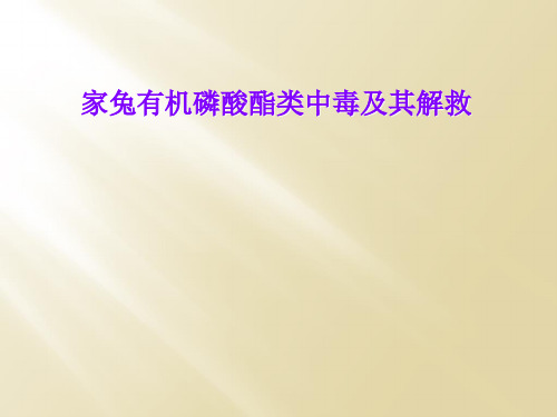 家兔有机磷酸酯类中毒及其解救