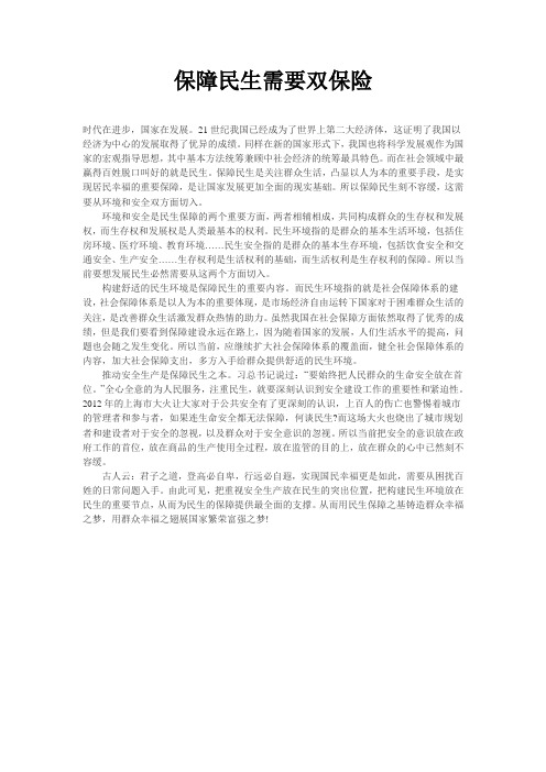 保障民生需要双保险