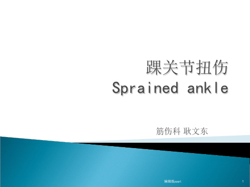 踝关节PPTPPT课件