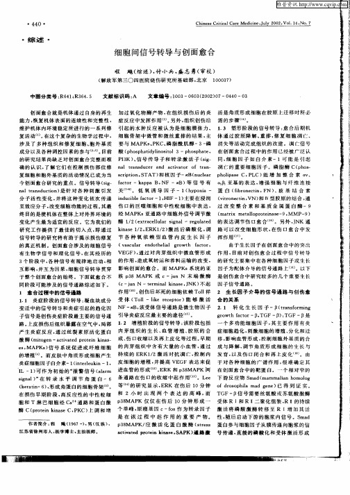 细胞间信号转导与创面愈合