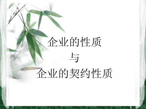 企业性质