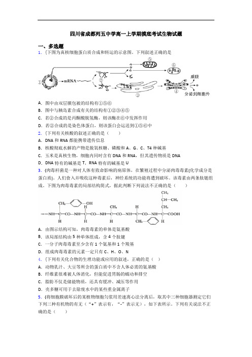 四川省成都列五中学高一上学期摸底考试生物试题