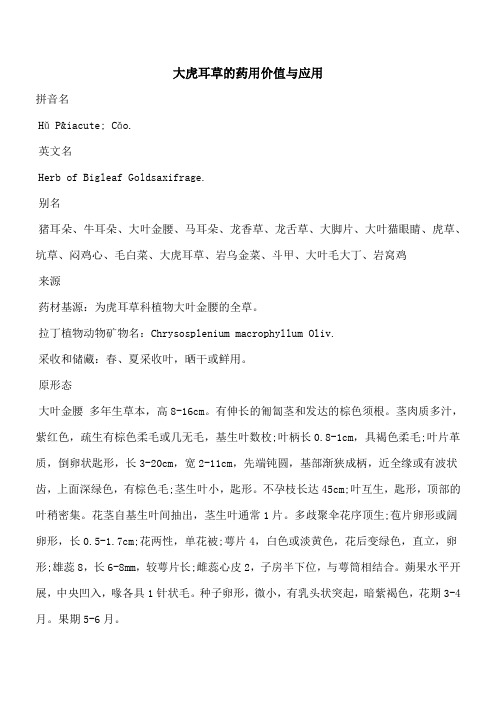【优秀文档】大虎耳草的药用价值与应用
