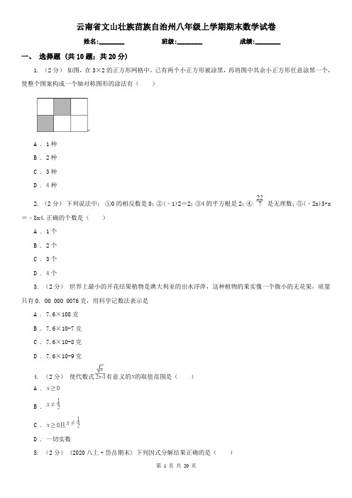 云南省文山壮族苗族自治州八年级上学期期末数学试卷