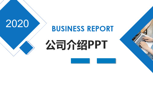 项目介绍ppt内容包括哪些内容