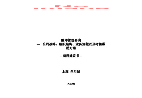 罗兰贝格公司战略、组织结构、业务流程以及考核激励方案项目建议书标准