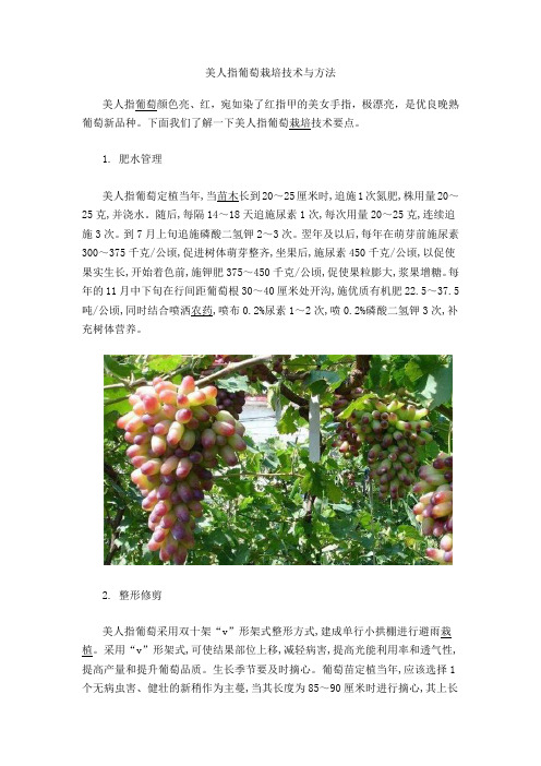 美人指葡萄栽培技术与方法