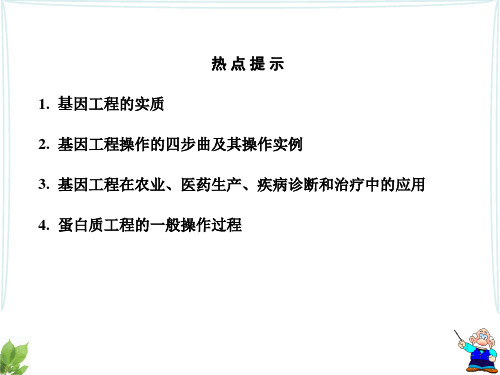 生物《基因工程》复习课件_PPT幻灯片