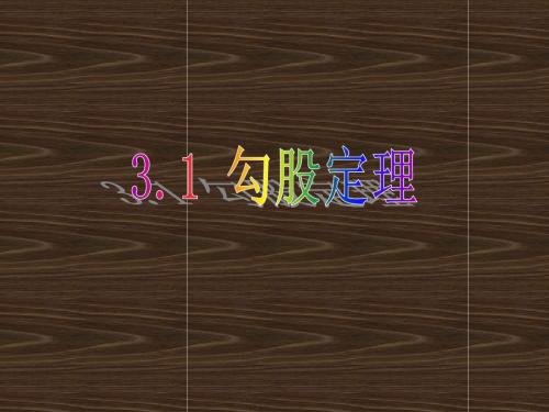 苏科版数学八年级上册课件3.1勾股定理