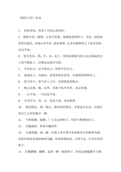 一 我的大学好词