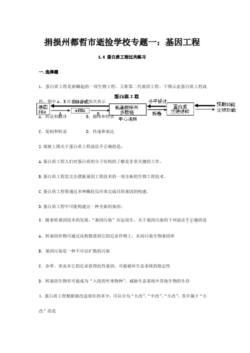 逝捡学校高中生物1蛋白质工程过关练习练习3