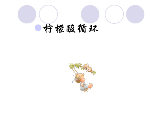 第23章柠檬酸循环