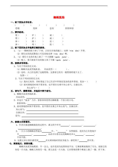 五年级语文上册 7.27 蜘蛛脱险练习题  西师大版