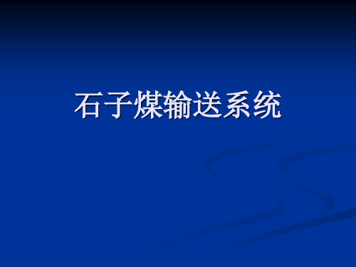石子煤介绍